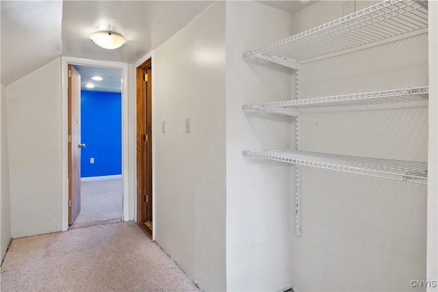 hall with carpet flooring