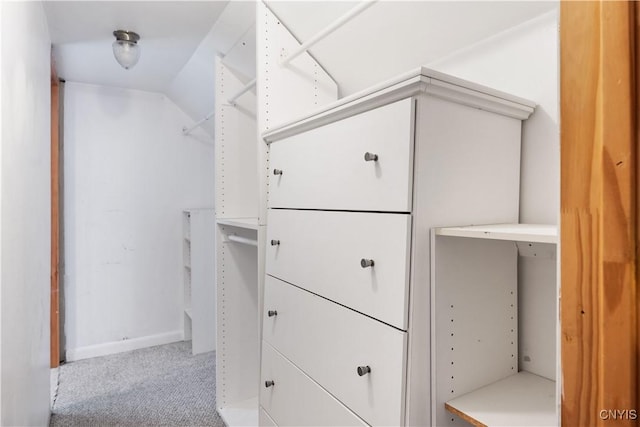 walk in closet with carpet flooring