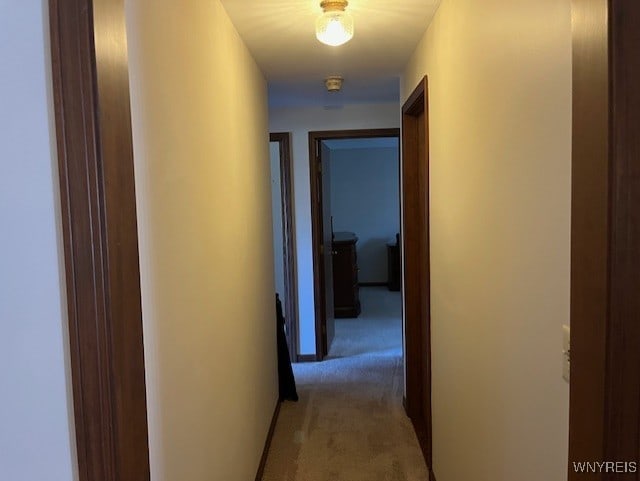 corridor featuring light carpet