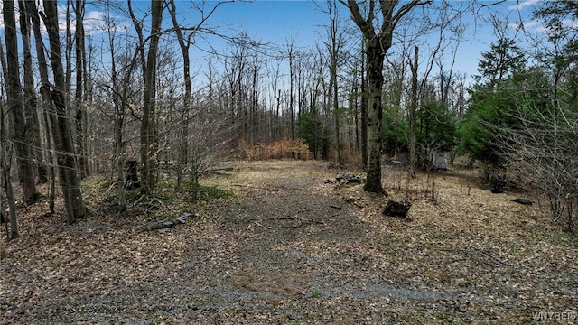 3436 Dunham Rd, Orangeville, NY 14569 - photo 1