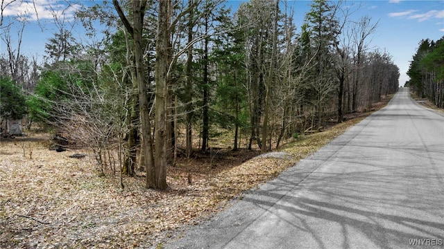 3436 Dunham Rd, Orangeville, NY 14569 - photo 2