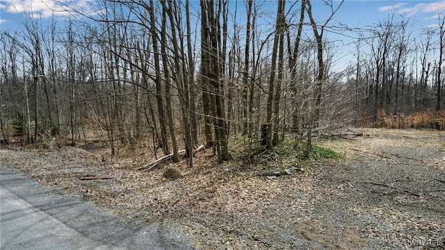 3436 Dunham Rd, Orangeville, NY 14569 - photo 3