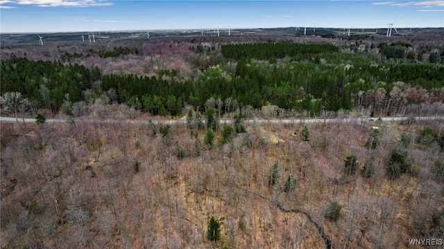 3436 Dunham Rd, Orangeville, NY 14569 - photo 5