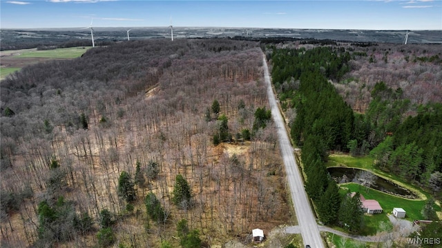 3436 Dunham Rd, Orangeville, NY 14569 - photo 8