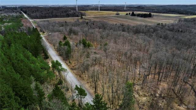 3436 Dunham Rd, Orangeville, NY 14569 - photo 10