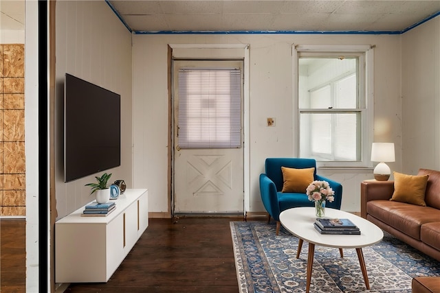 living area featuring dark wood-type flooring