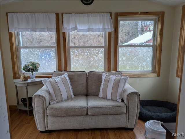 living area with lofted ceiling, wood finished floors, and a healthy amount of sunlight