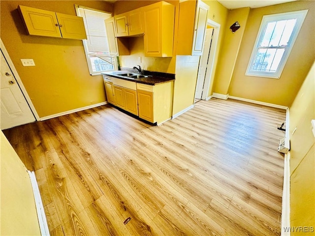 99 Roebling Ave, Buffalo, NY 14215 - kitchen with a sink, baseboards, and a wealth of natural light