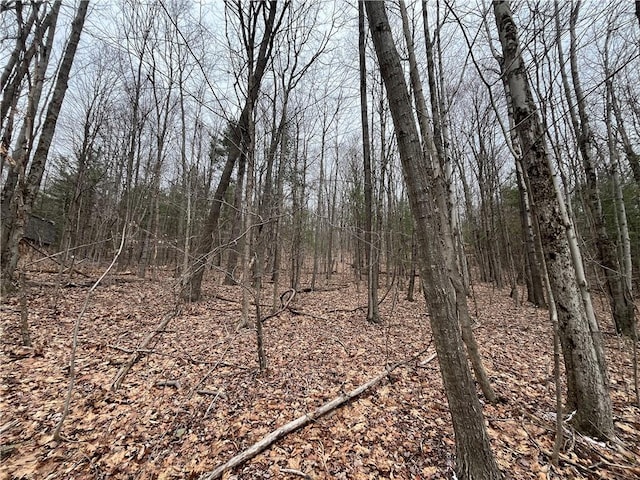 Thayer Rd, Erin, NY 14838