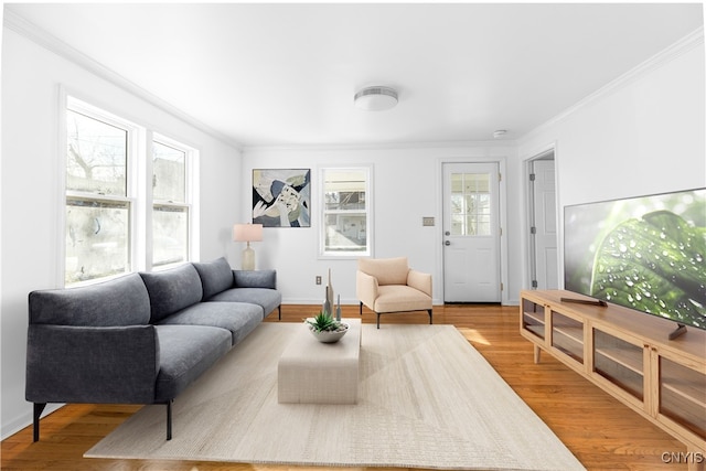 living room featuring crown molding, baseboards, and wood finished floors