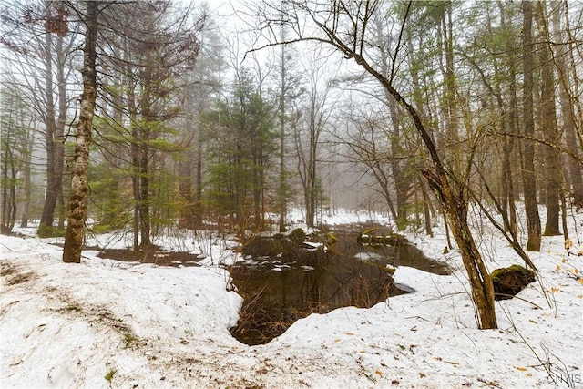 172 Green St, Ephratah, NY 13452 - view of snow covered land featuring a view of trees
