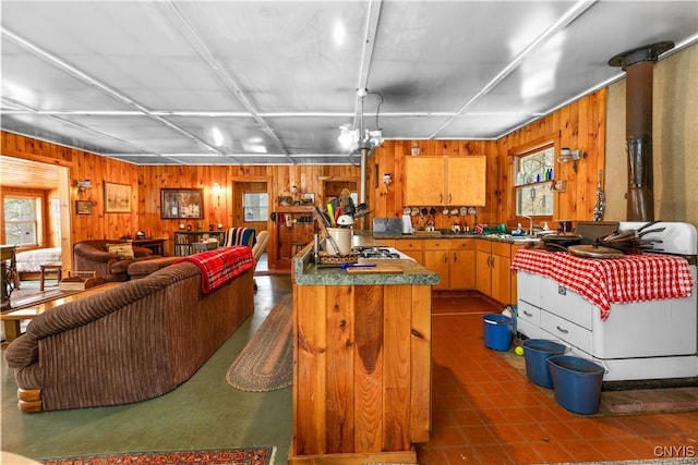 172 Green St, Ephratah, NY 13452 - kitchen featuring open floor plan, dark countertops, wood walls, brown cabinetry, and a sink