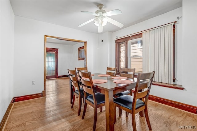43 Freund St, Buffalo, NY 14211 - dining space featuring light wood-style floors, ceiling fan, and a wealth of natural light