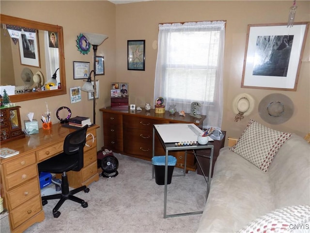 office area featuring light carpet