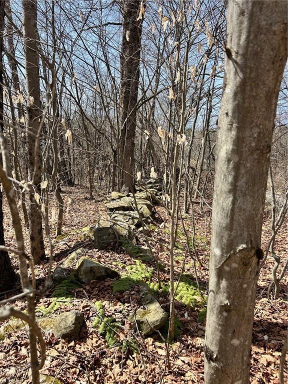 S Rd S, Plymouth, NY 13832