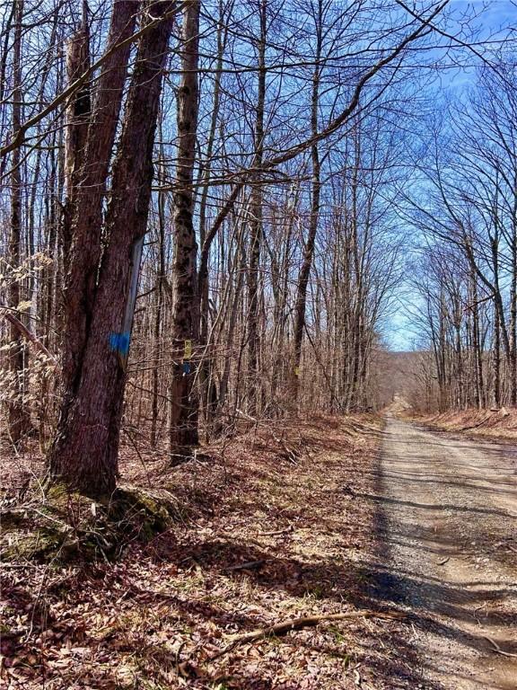 S Rd S, Plymouth, NY 13832