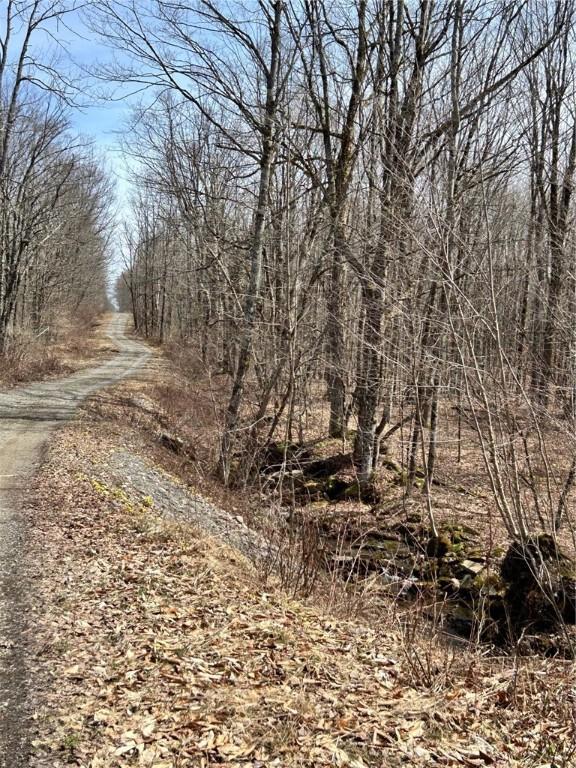 S Rd S, Plymouth, NY 13832