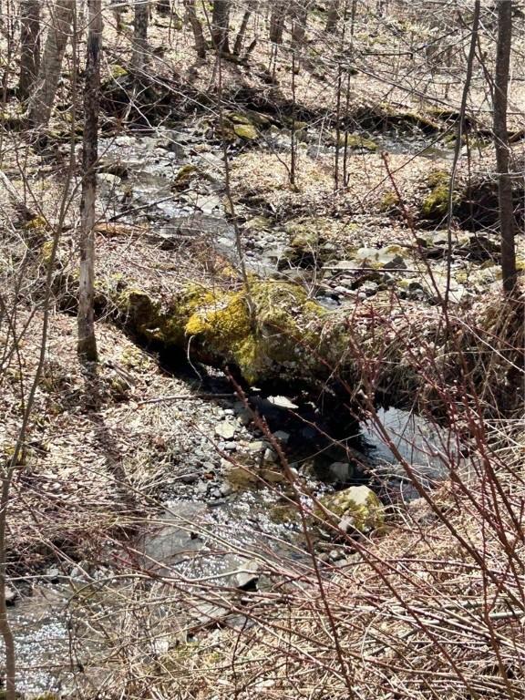 S Rd S, Plymouth, NY 13832
