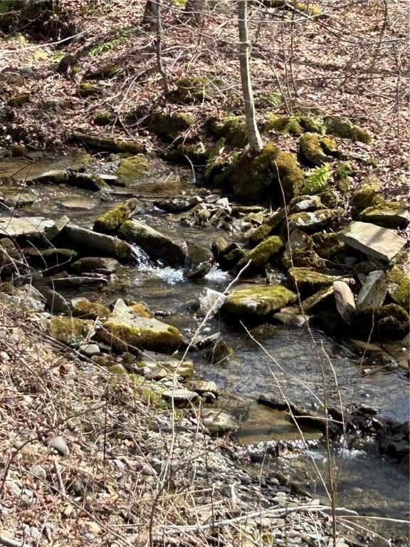 S Rd S, Plymouth, NY 13832