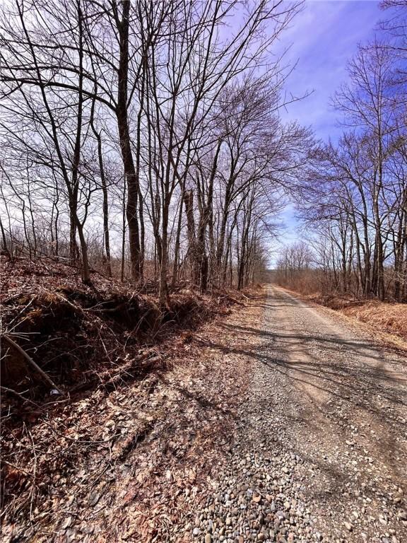 S Rd S, Plymouth, NY 13832