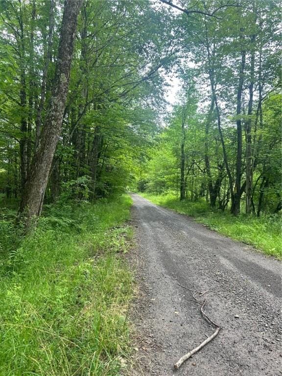 S Rd S, Plymouth, NY 13832 - photo 1