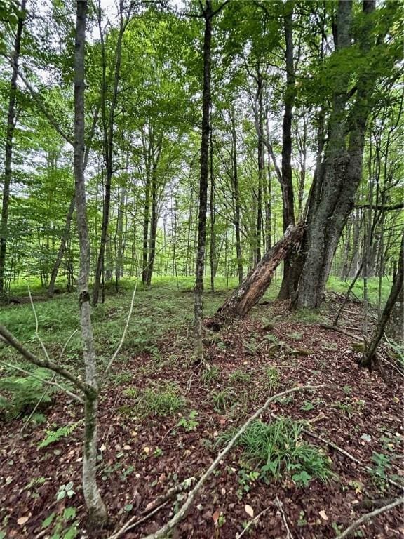 S Rd S, Plymouth, NY 13832 - photo 2
