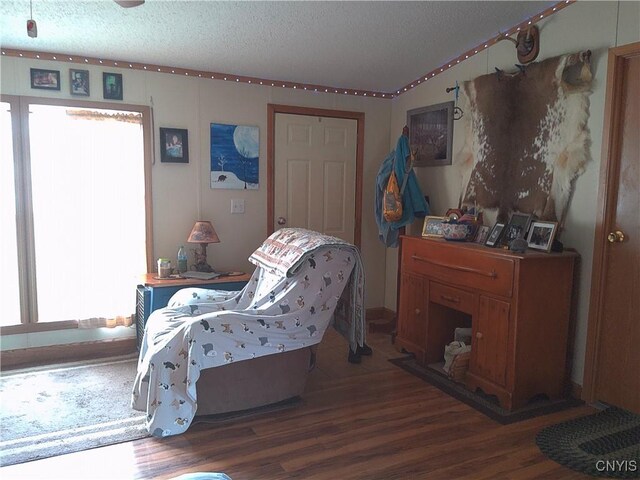 117 Kinny Rd, Pitcher, NY 13801 - photo 16