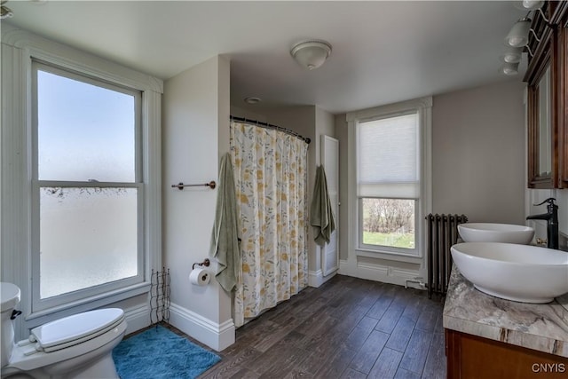 11853 State Route 12e, Lyme, NY 13622 - full bath featuring radiator, toilet, wood finished floors, a sink, and double vanity