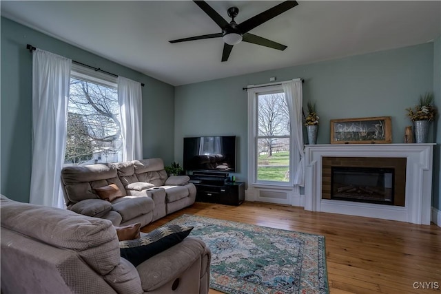 11853 State Route 12e, Lyme, NY 13622 - living room featuring a glass covered fireplace, a ceiling fan, and wood finished floors