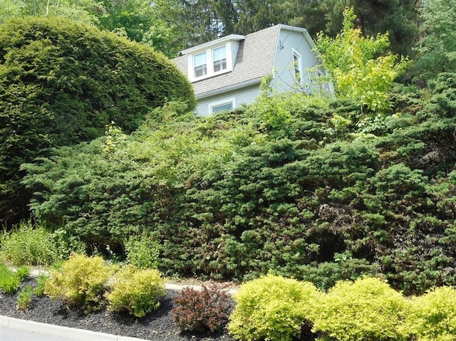 11 Cedar St, Oneonta-City, NY 13820 - view of side of property with a wooded view and a gambrel roof