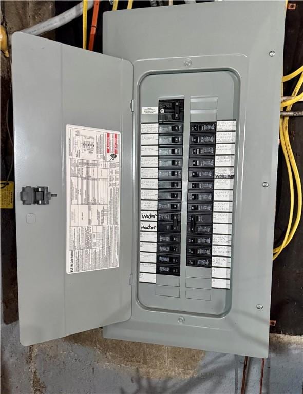 11 Cedar St, Oneonta-City, NY 13820 - utility room featuring electric panel