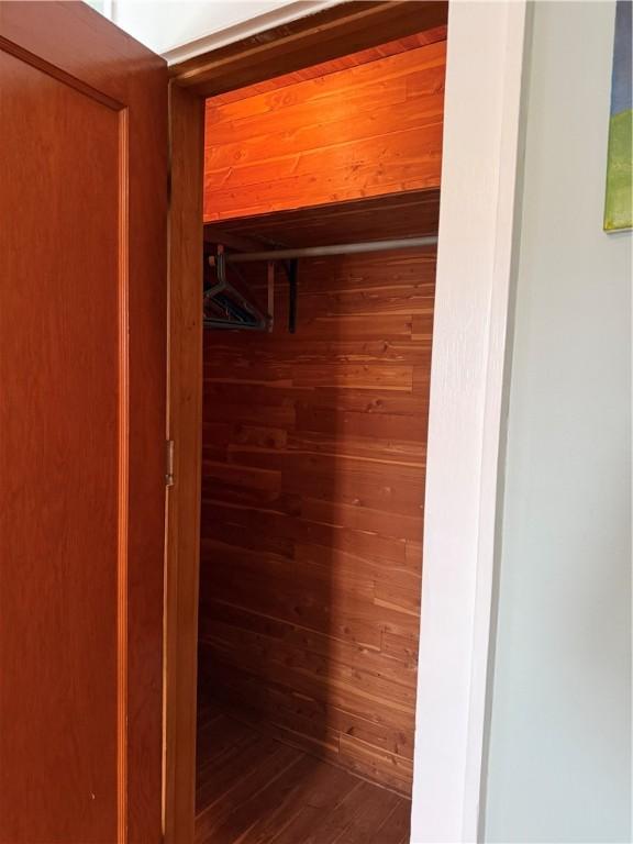 11 Cedar St, Oneonta-City, NY 13820 - view of closet
