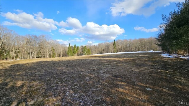1316 William Ernst Rd, Lewis, NY 13489