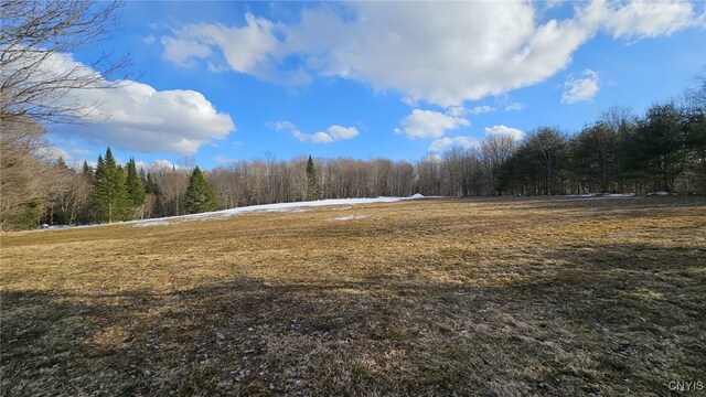 1316 William Ernst Rd, Lewis, NY 13489