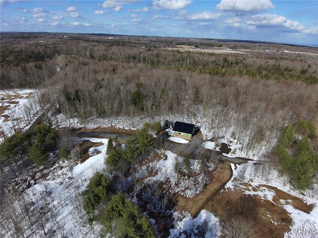 1316 William Ernst Rd, Lewis, NY 13489