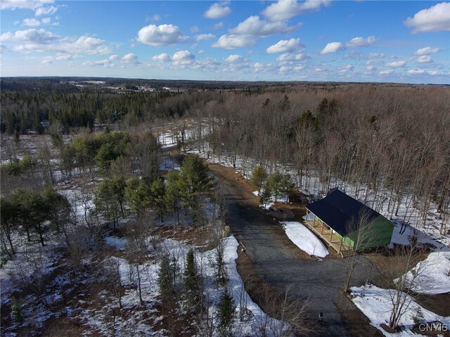 1316 William Ernst Rd, Lewis, NY 13489