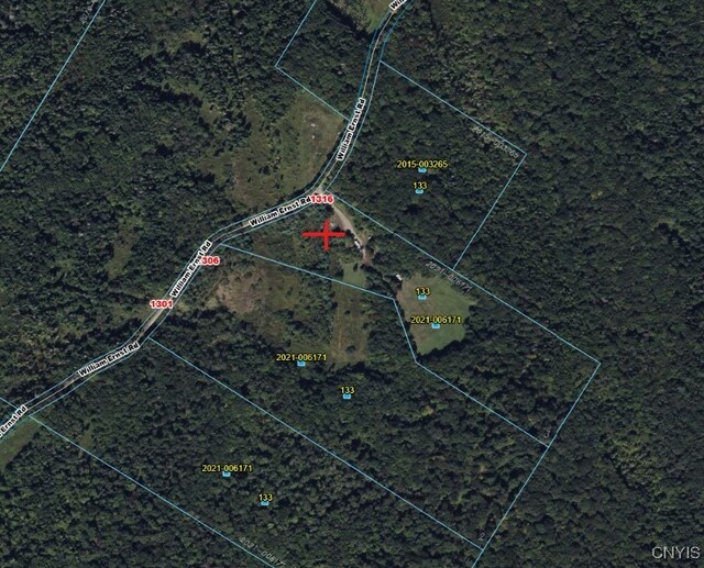 1316 William Ernst Rd, Lewis, NY 13489