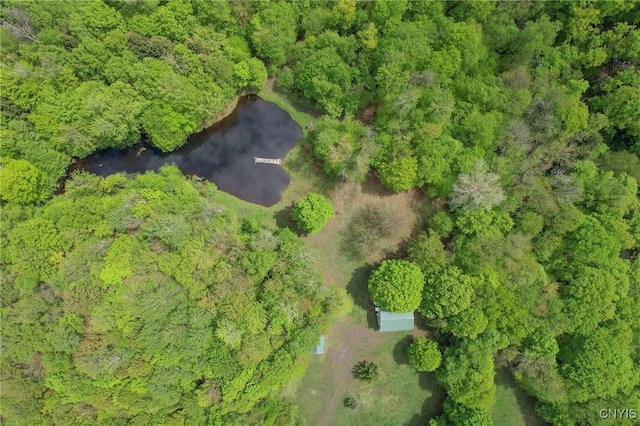 50 Apache Springs Rd, Boylston, NY 13083 - aerial overview of property's location with a forest