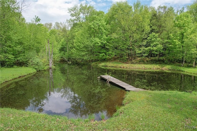 50 Apache Springs Rd, Boylston, NY 13083 - dock area featuring a water view and a view of trees