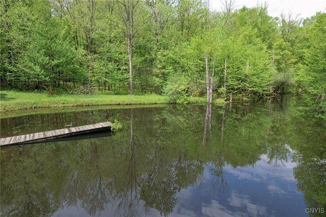 50 Apache Springs Rd, Boylston, NY 13083 - dock area featuring a water view and a view of trees