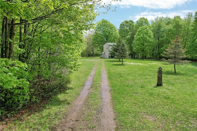50 Apache Springs Rd, Boylston, NY 13083 - view of grassy yard with dirt driveway and a wooded view