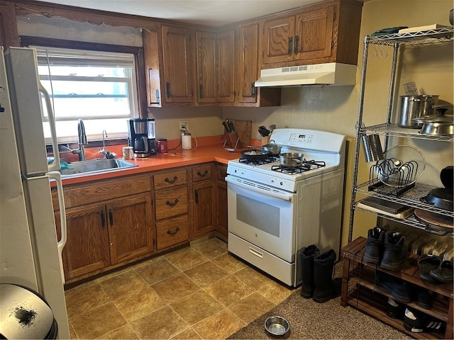 kitchen featuring white appliances, light countertops, under cabinet range hood, brown cabinets, and a sink