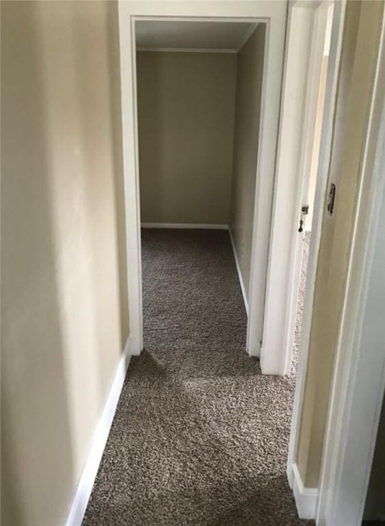 hall with carpet flooring, baseboards, and ornamental molding