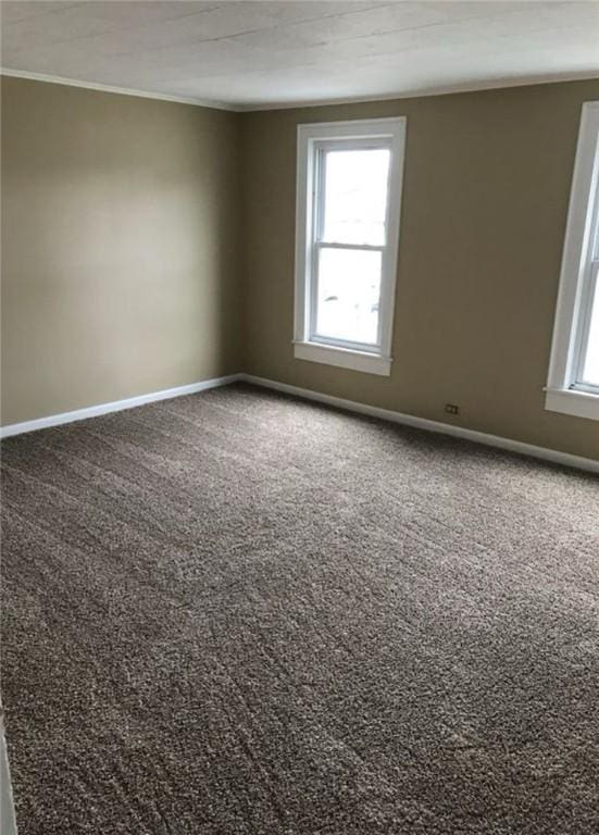 spare room featuring ornamental molding, baseboards, and carpet floors