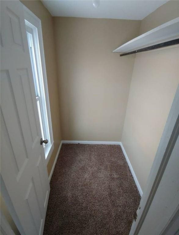 walk in closet with carpet flooring
