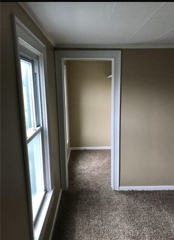 hall with crown molding, carpet flooring, and baseboards