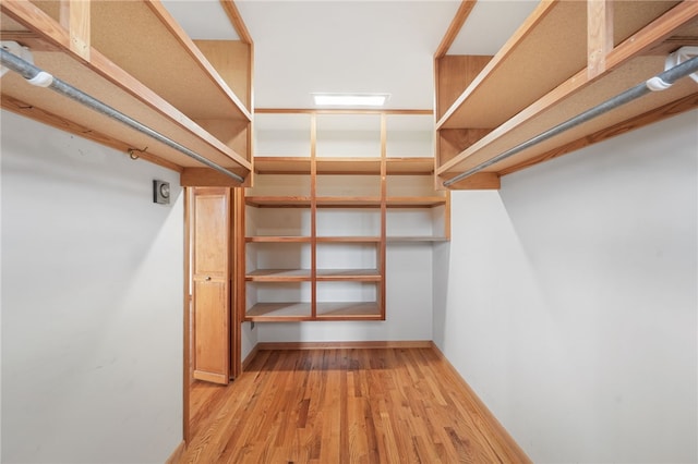 spacious closet featuring wood finished floors