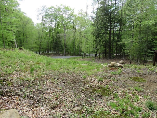 142 Joy Tract Rd, Webb, NY 13420