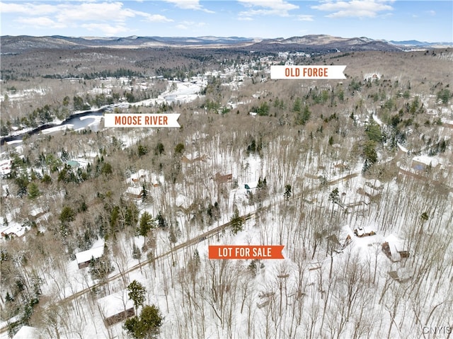 142 Joy Tract Rd, Webb, NY 13420 - photo 18