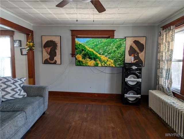 505 Canary St, Dunkirk-City, NY 14048 - sitting room with hardwood / wood-style floors, a ceiling fan, radiator, and crown molding